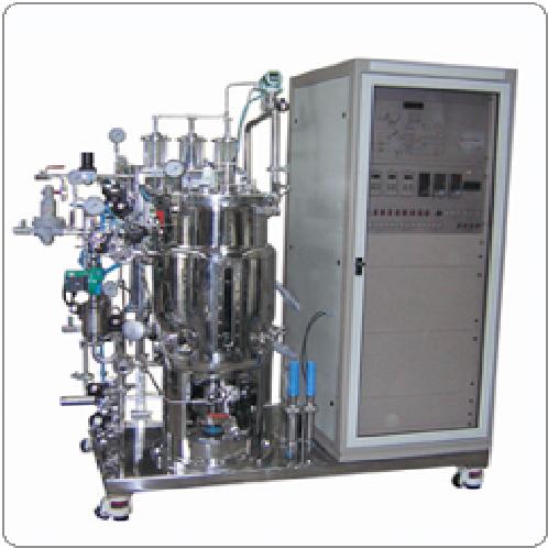 PILOT SCALE FERMENTOR (SINGLE)